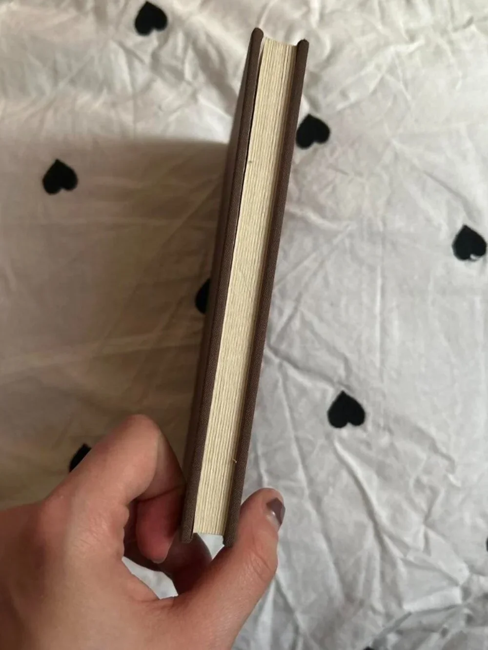 N/A small accordion